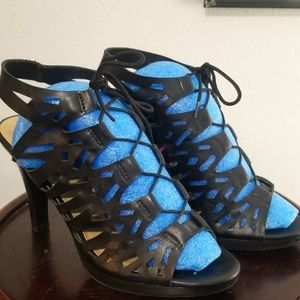 Coach and four heels